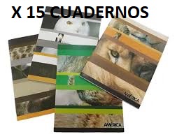 CUAD AMERICA PAQ X 15 T/F X 48 RAY 