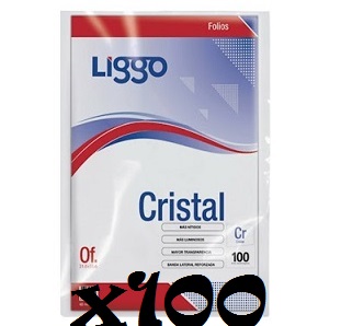 FOLIO X 100 OFICIO C