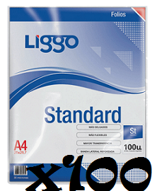 FOLIO X 100 A4 C