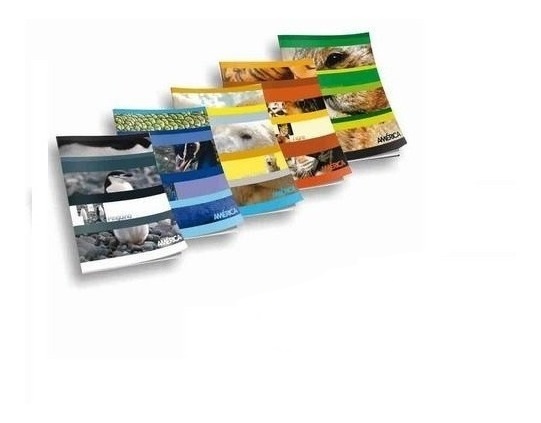 CUAD LISO AMERICA T/F X 24                        