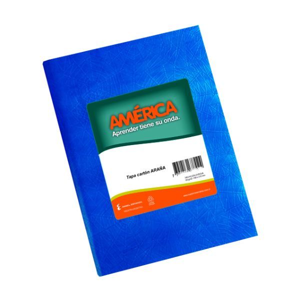 CUAD AMERIC T/D X 42 RAY AZUL                   