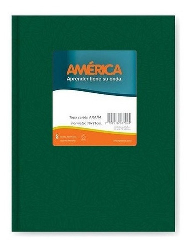 CUAD AMERICA T/D X 82 RAY VERDE   