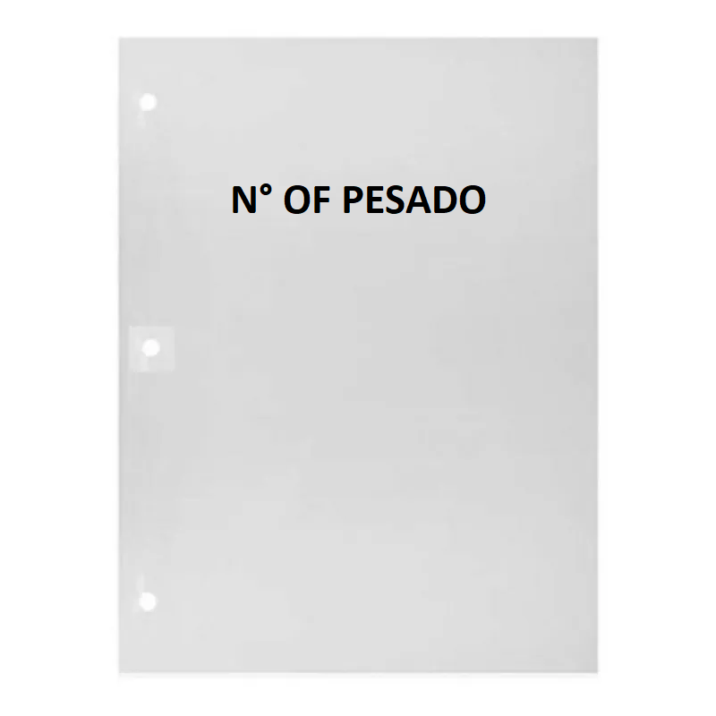 FOLIO OF PES                                      