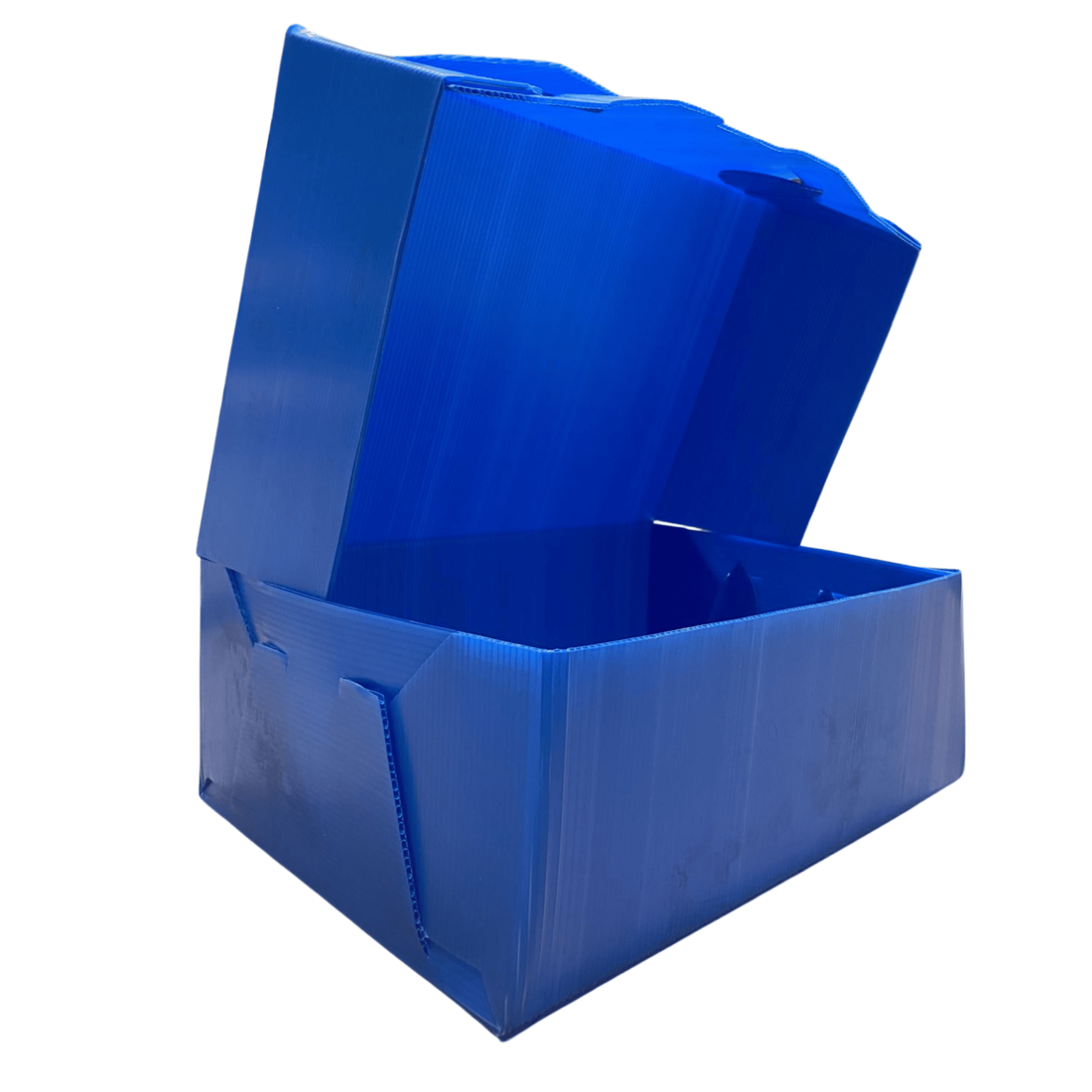 CAJA PLAST 12 CM AZUL                             
